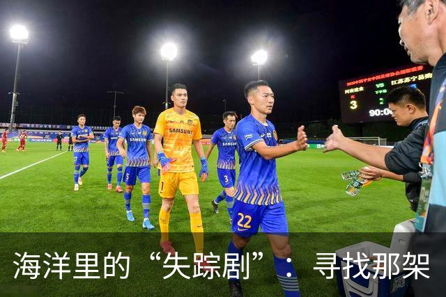 海洋里的“失踪剧”：寻找那架“迷路”飞机的故事